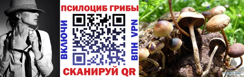 Псилоцибиновые грибы ЛСД  Купить  Бежецк 